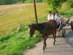 Voyage sur les terres du comte - 30/08/2005 : Sigishoara (1)