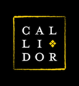 logo-callidor Fraysse, Thierry. Interview avec le directeur éditorial des Éditions Callidor