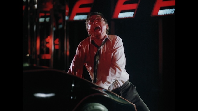 herz-ferat-vampire-1982-3 Herz, Juraj. Le Vampire de Ferat. 1982