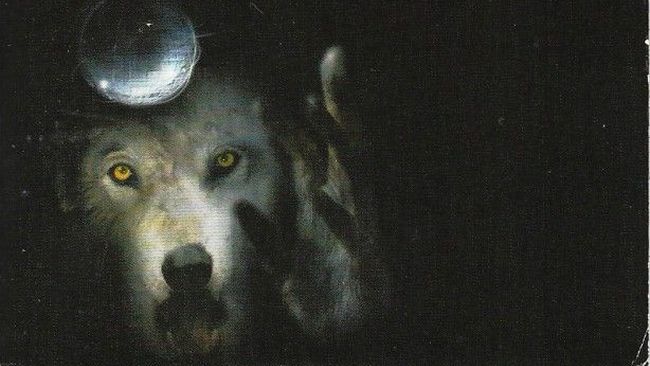 king-tour-sombre-loups-calla-2 King, Stephen. La Tour sombre, tome 5. Les Loups de la Calla